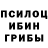 Галлюциногенные грибы Cubensis SKILZERO YT