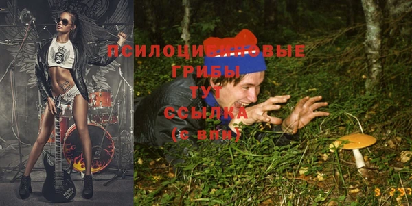 MESCALINE Анжеро-Судженск